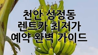 천안 성정동 렌트카 최저가 예약 완벽 가이드