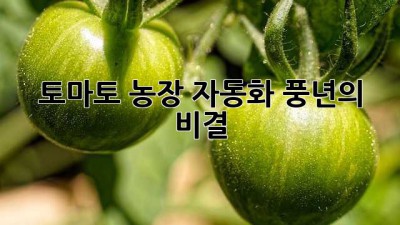 토마토 농장 자동화: 풍년의 비결